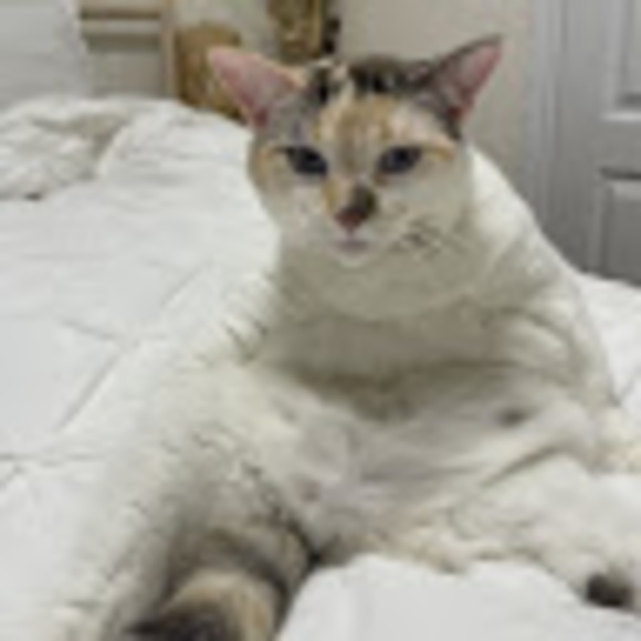 Meet your Posher, Trudy - Picture 1 of 1